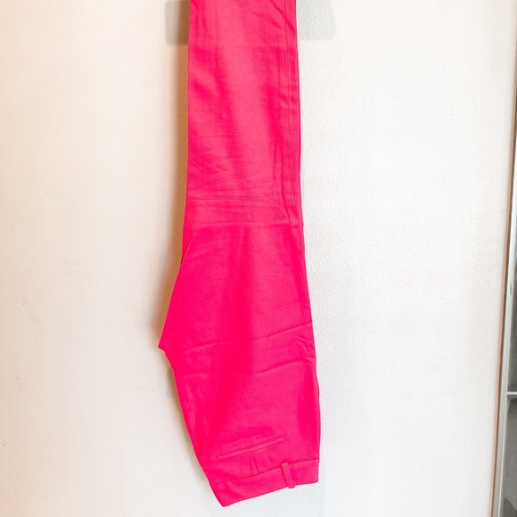 J. Crew Pants - J.Crew Winnie pants